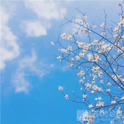 剑客下山h5bt版下载
