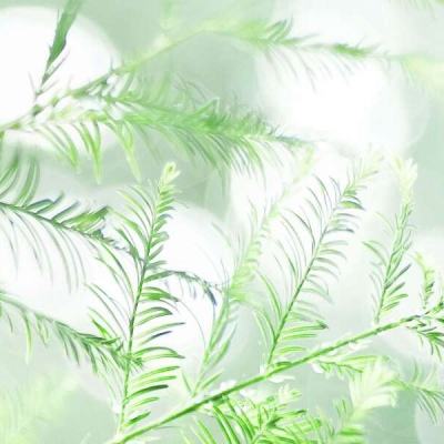 群英赋ol破解版下载